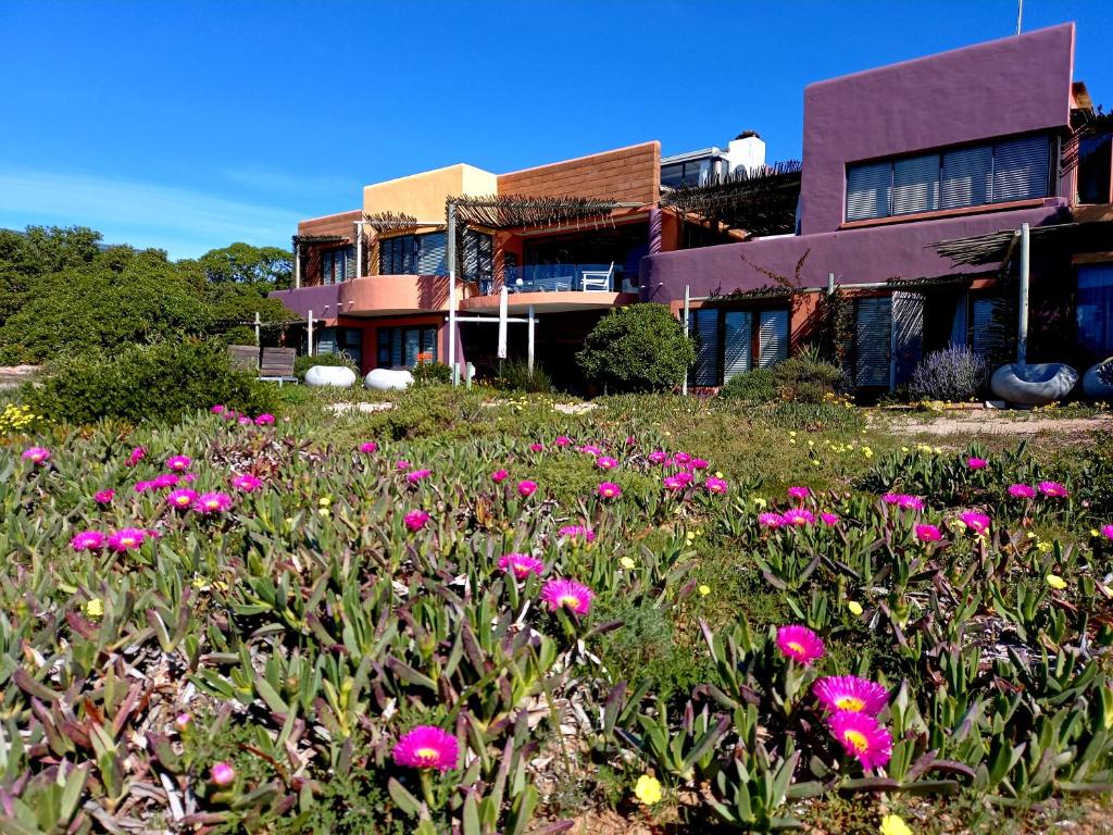 Absolute Beach Accommodation