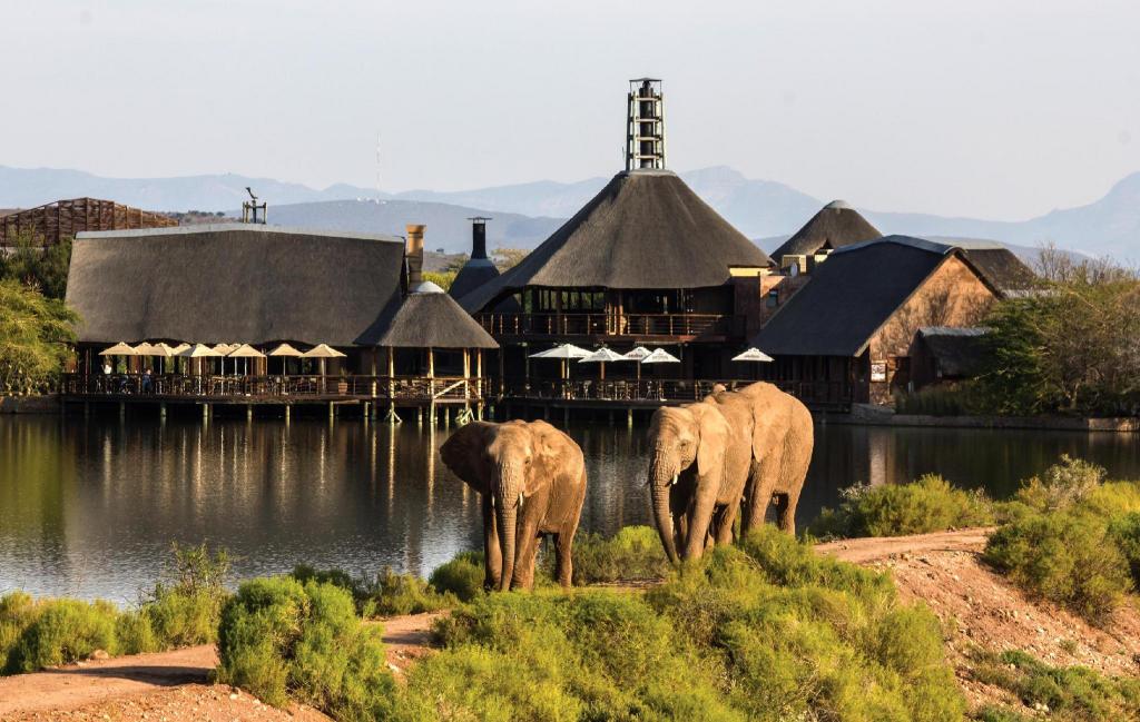 Buffelsdrift Game Lodge and Hotel