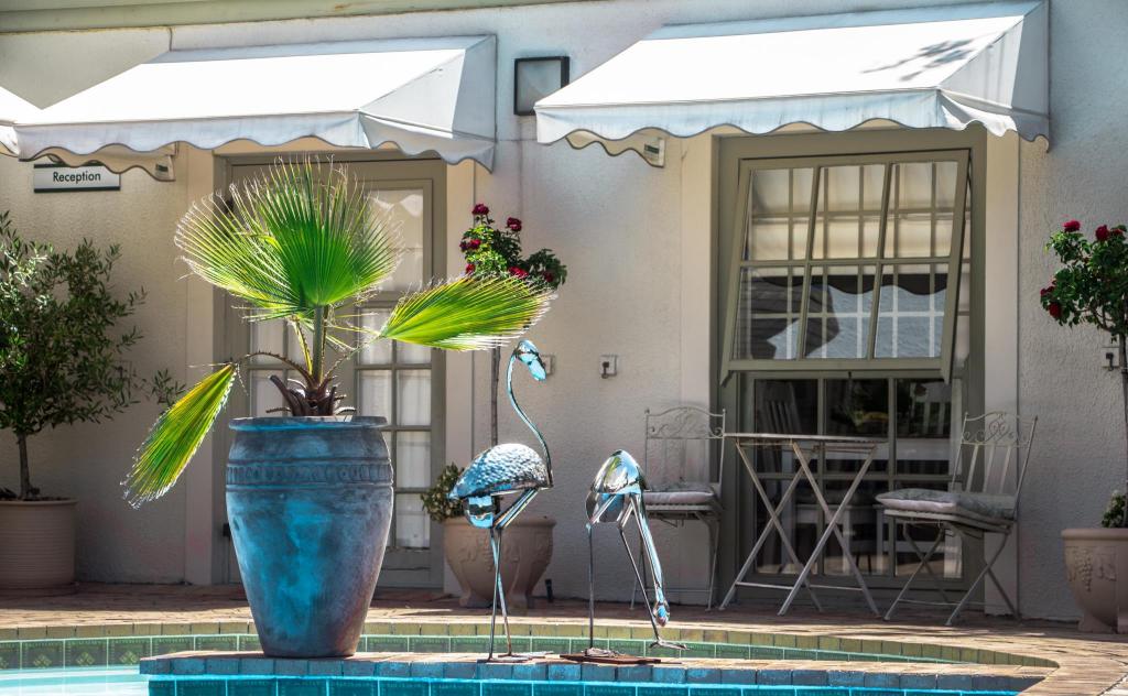 Wild Olive Luxury Guest House